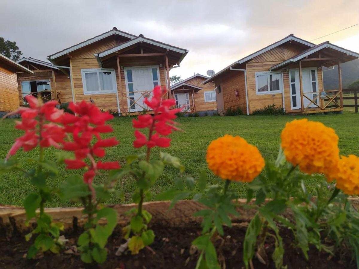 Flor Do Campestre * Urubici