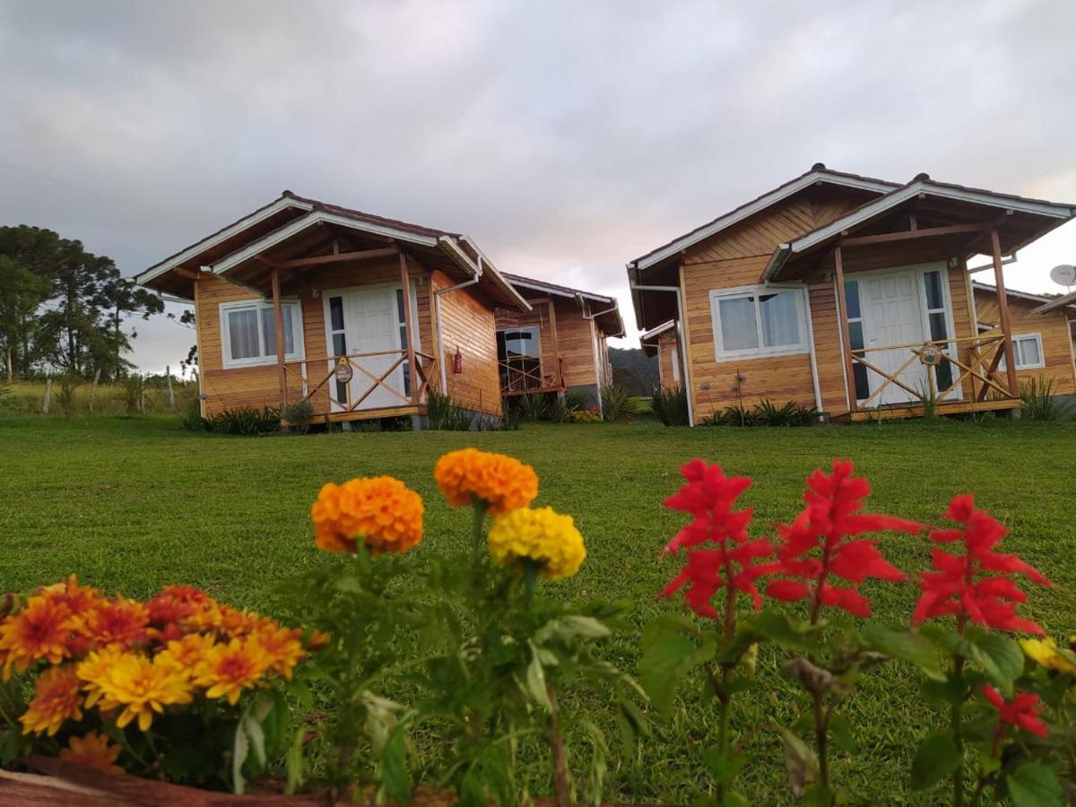 Flor Do Campestre * Urubici