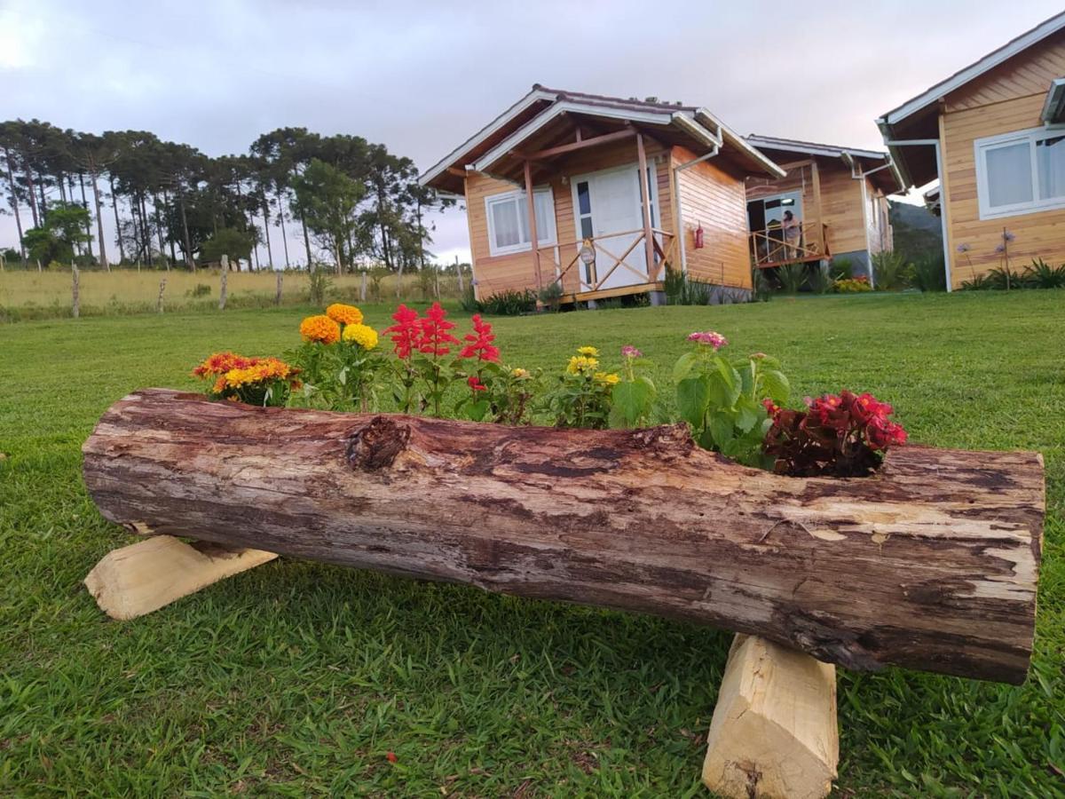 Inn Flor Do Campestre *