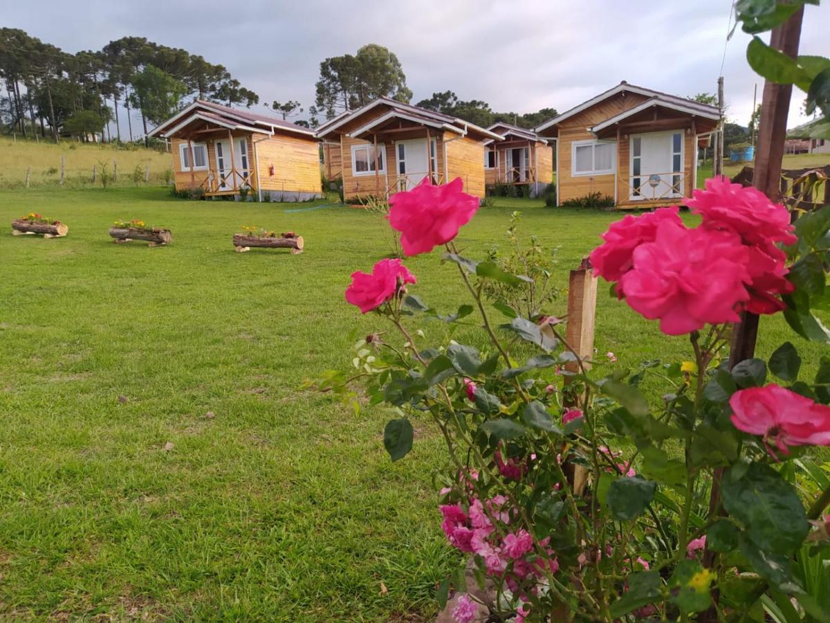 Flor Do Campestre