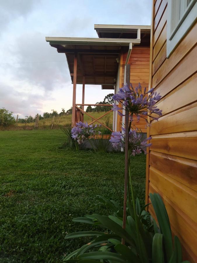 Inn Flor Do Campestre